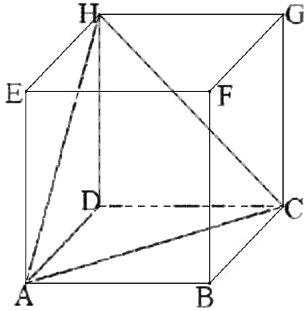 Figura pentru exercițiul 6